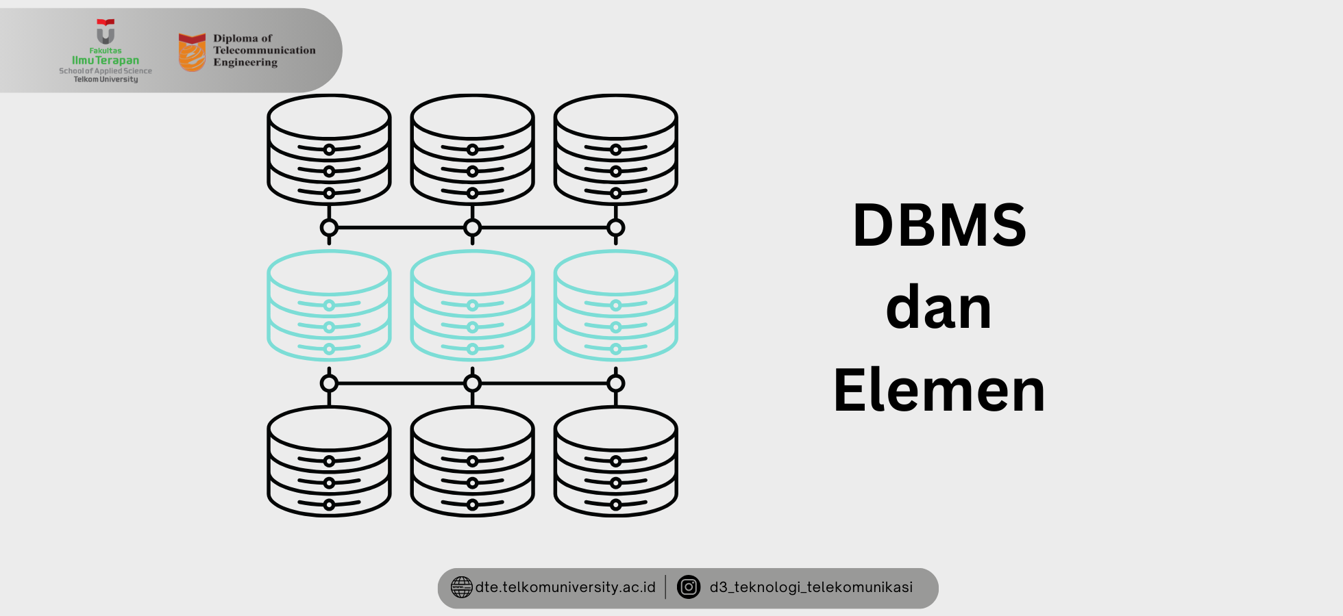 Mengenal DBMS: Konsep Dasar, Unsur-Elemen, dan Peran Penting Dalam Manajemen Basis Data