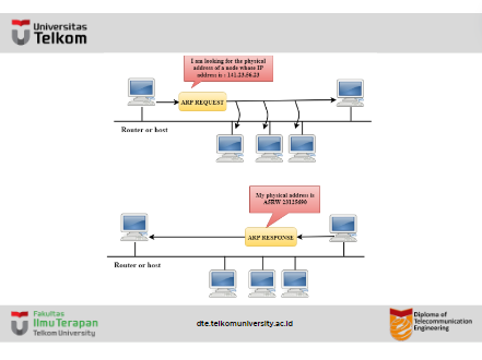 Network Layer Protocols