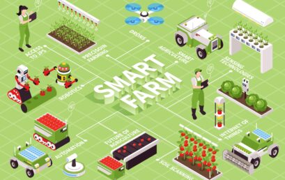 Smart Farming dalam Perkebunan: Meningkatkan Produktivitas dengan Teknologi IoT