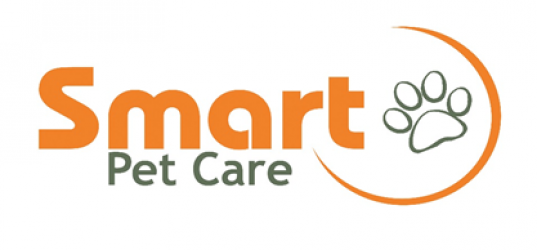 Smart Pet Care: Bagaimana IoT Membantu Merawat Hewan Peliharaan di Rumah