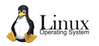 Kenapa Harus Pakai Linux? Menguak Keunggulan Keamanan, Fleksibilitas, dan Stabilitasnya